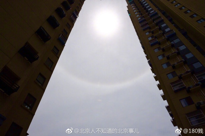 血腥割头外网免费版