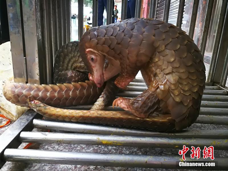 裸体歌舞Xxxx各种疯狂舞蹈