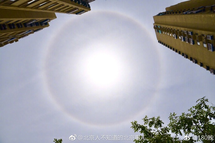 成人欧美