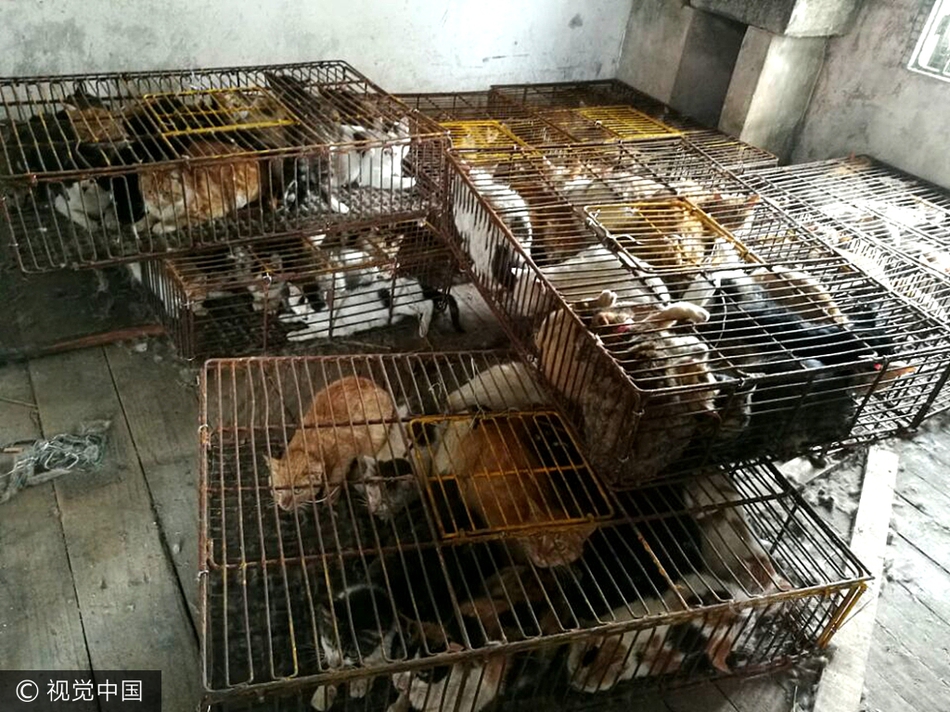 什么时候捕查人口_人口普查(3)