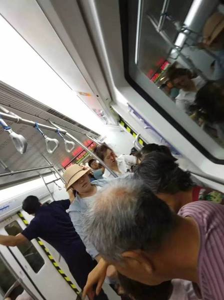 免费无码毛片一区二区APP