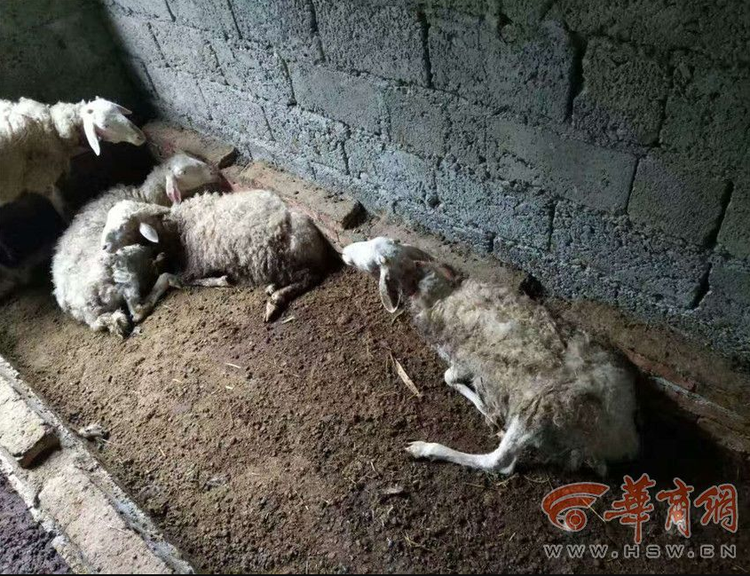 亚洲成人电影院