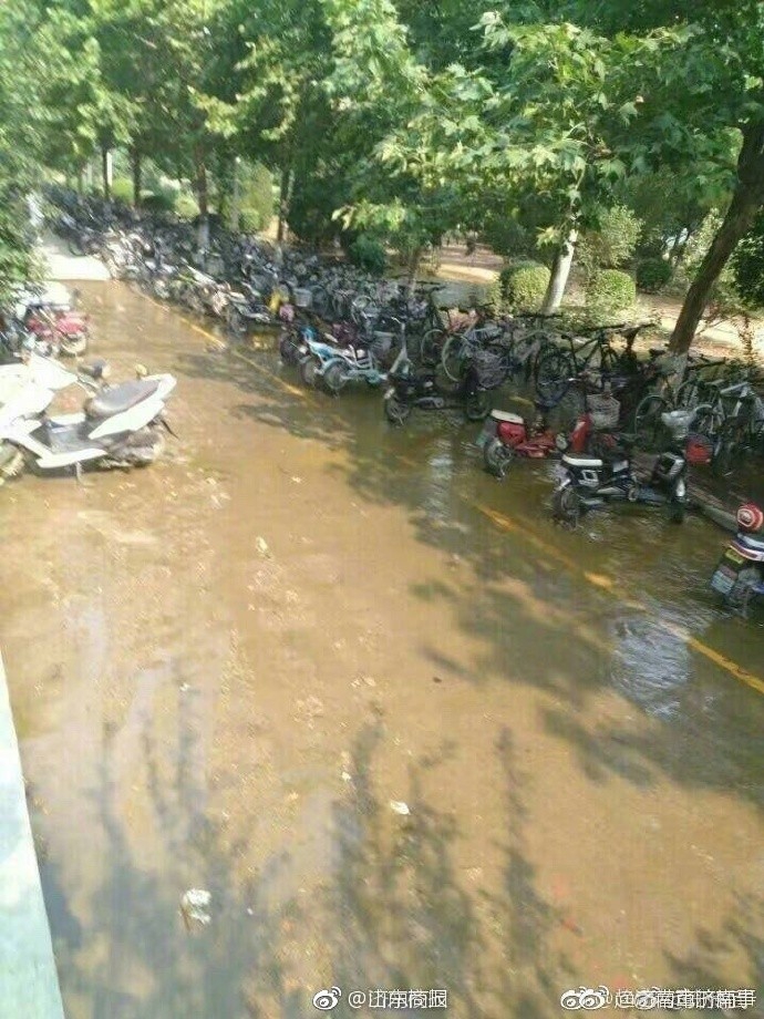 无码专区免费