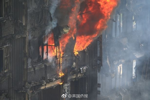 张柏芝三角黑毛一片