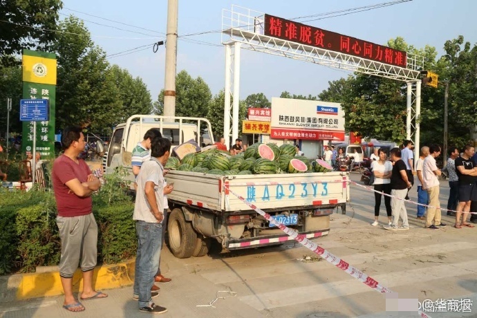中国性老太Hd树林老少交