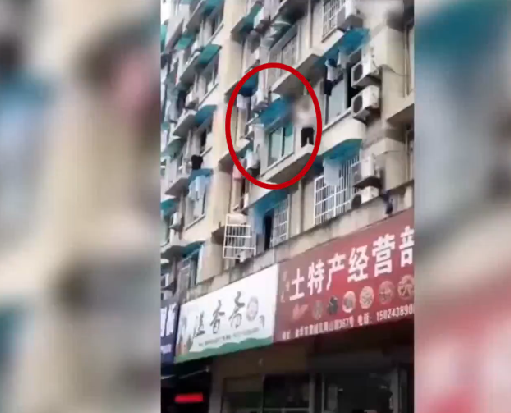 张婉莹视频暑假作业