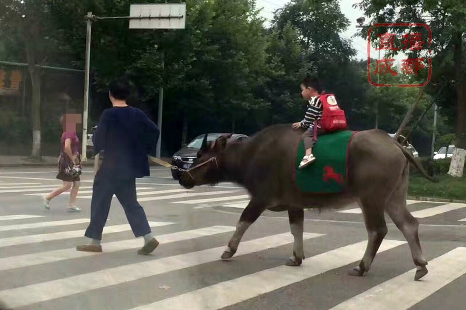 男人操女人的软件