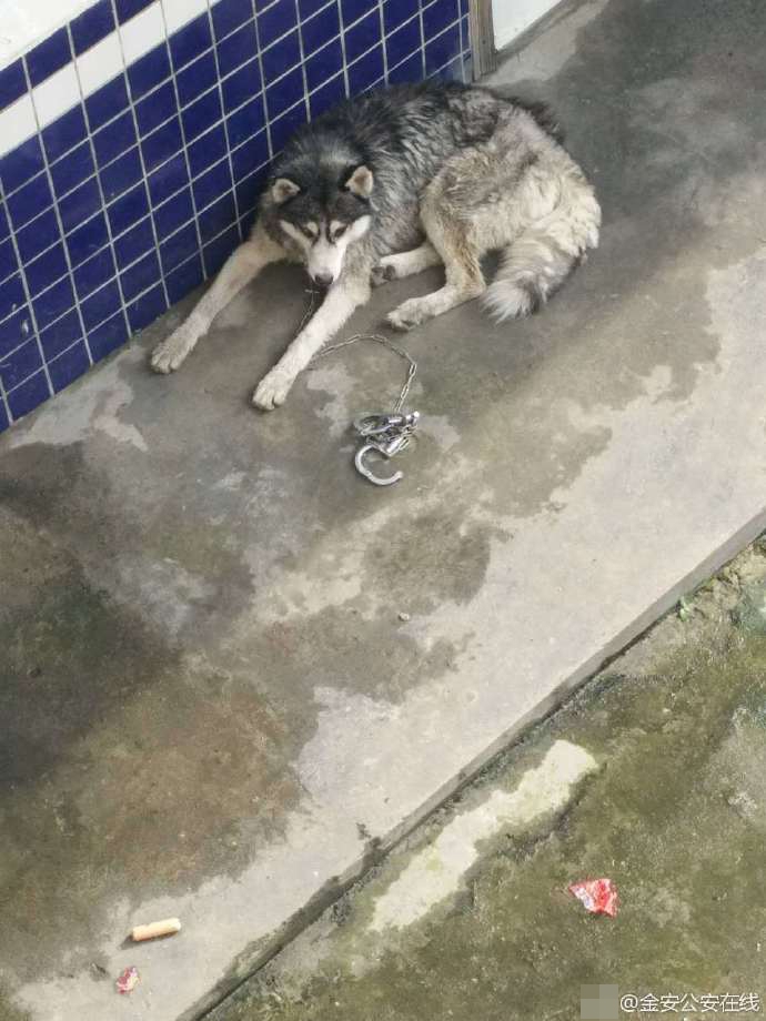 男子与动歾日逼免费视频