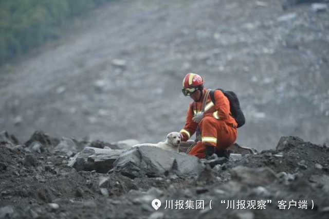 公交车性高潮