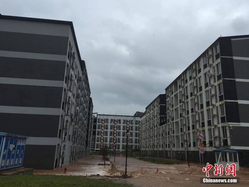 老师脱 让学生摸 小说