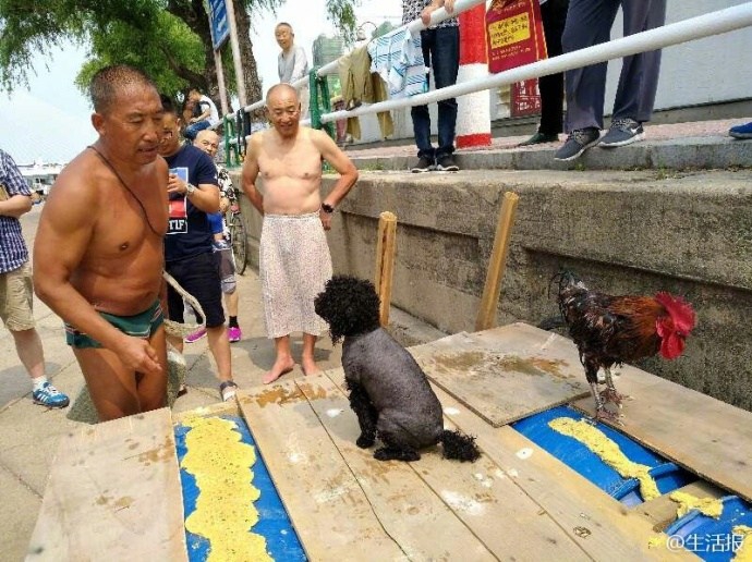 井上綾子