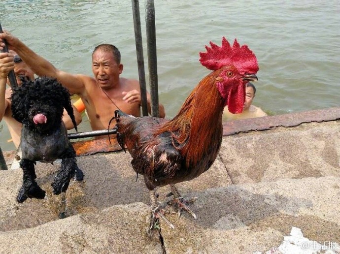 黄色网站给我