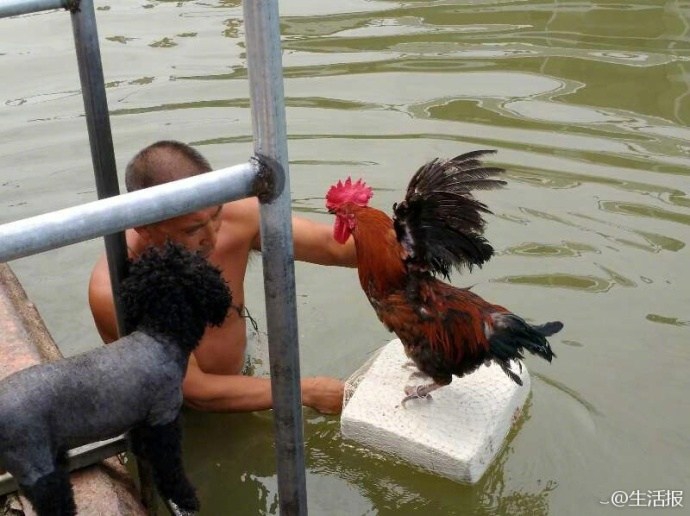 張筱雨两腿玉门打开图