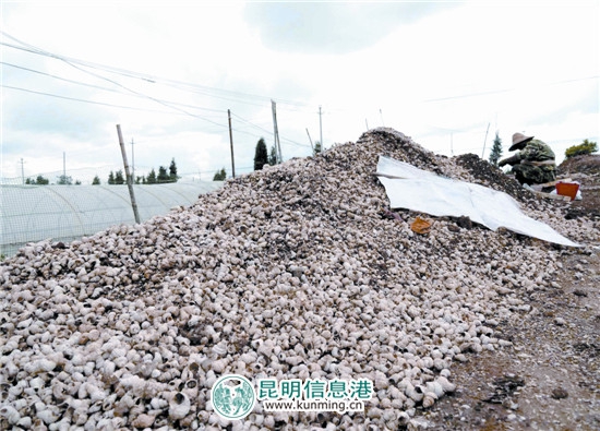 女仆扒开 跪着让客人挠痒痒