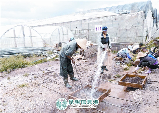 美女Av在线一区
