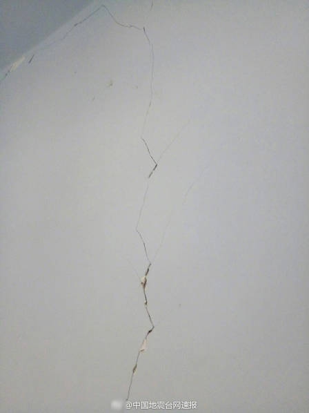 免费黄色网站网址