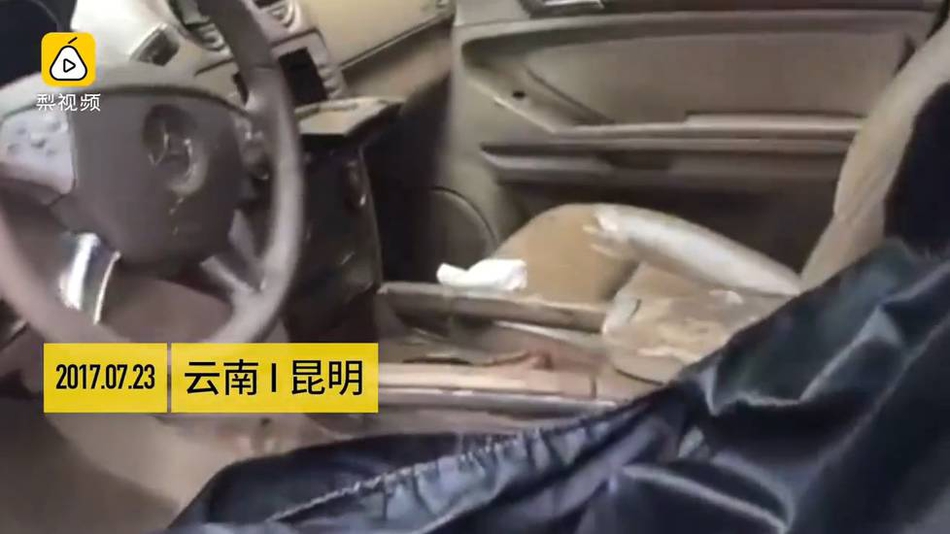 欧美亚洲国产一区