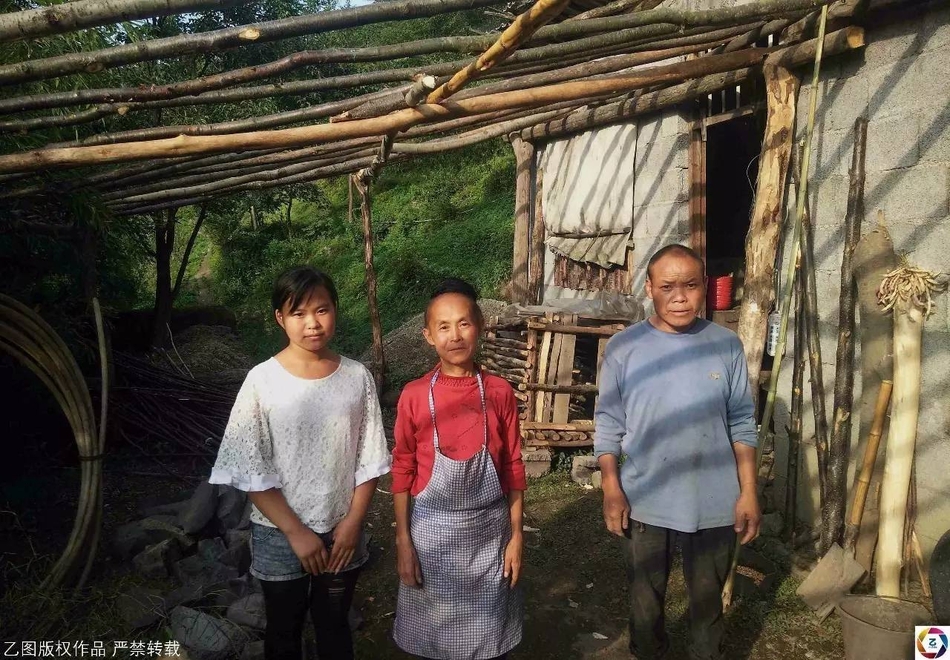 欧美在线视频一区