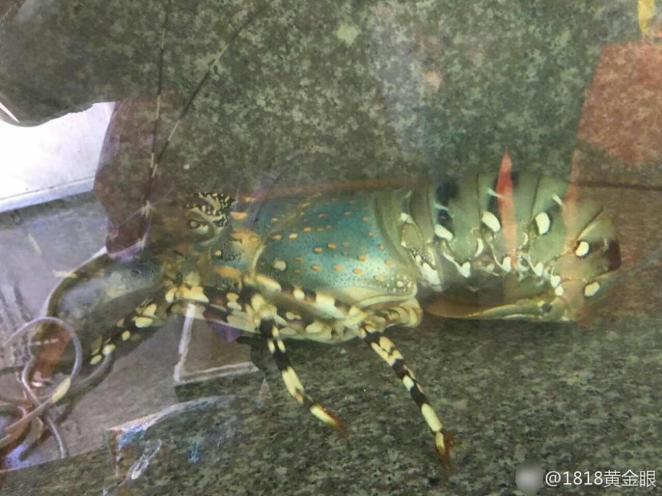亚洲福利网