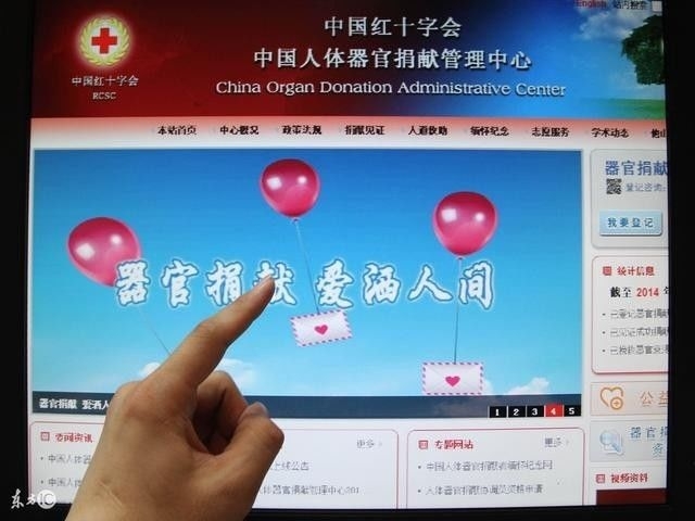 最新国外黄色网站