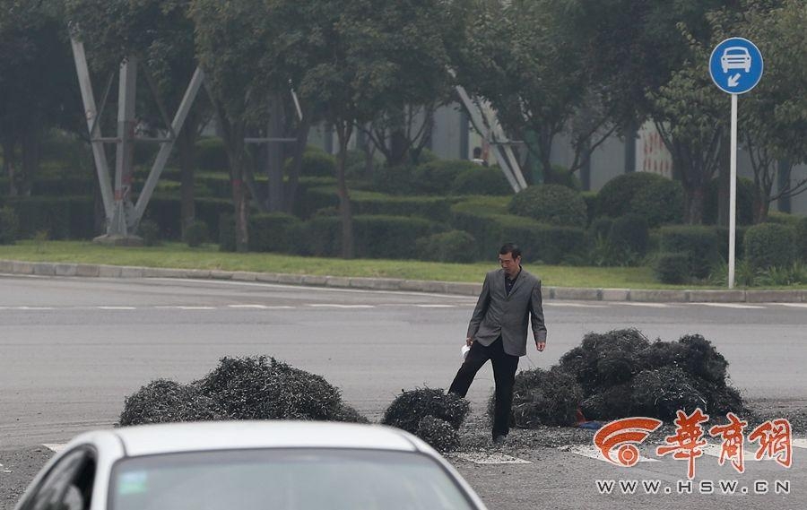 黄色的小说网站免费观看视频