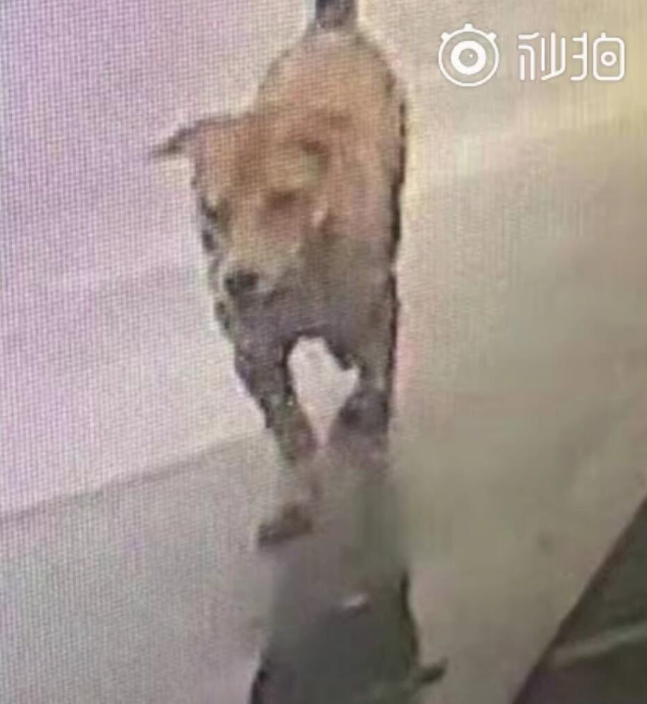 亚洲三级电影