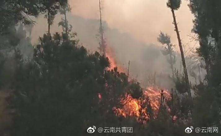 国产拍拍