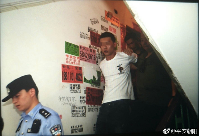 物业免费1000集，在线视频资源大放送