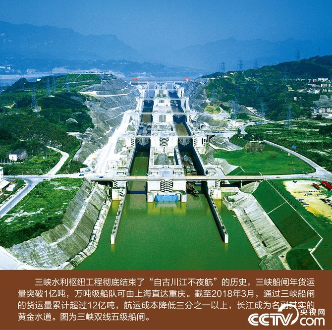 黄H视频在线观看视频