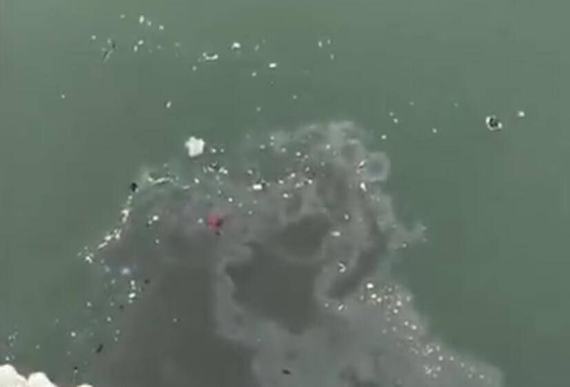 亚洲日韩一区