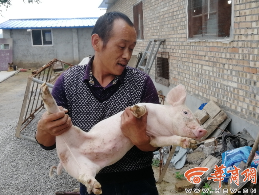 成人 娃娃 老板娘