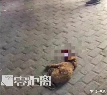 欧美肥婆操肥屄