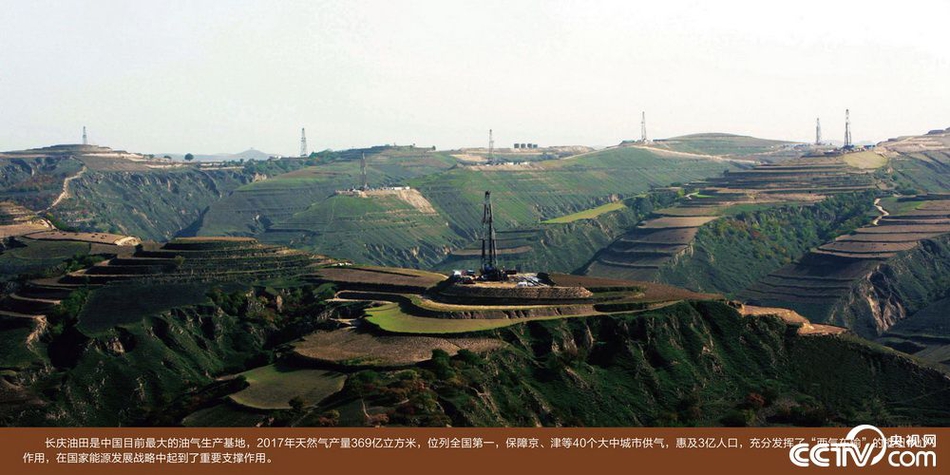 在线 色情 网