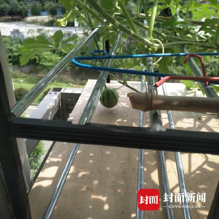 刚刚，浙江多地官宣：就在明天！接下来的日子，太刺激了……