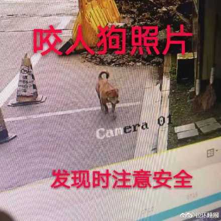 欧美影院一区
