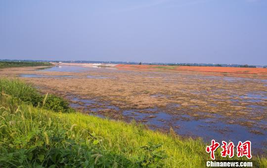国产又粗又猛又爽