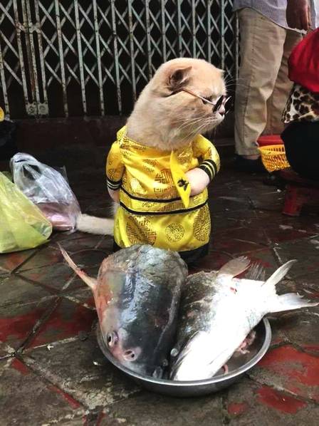 国产疯狂性爱Xxxx