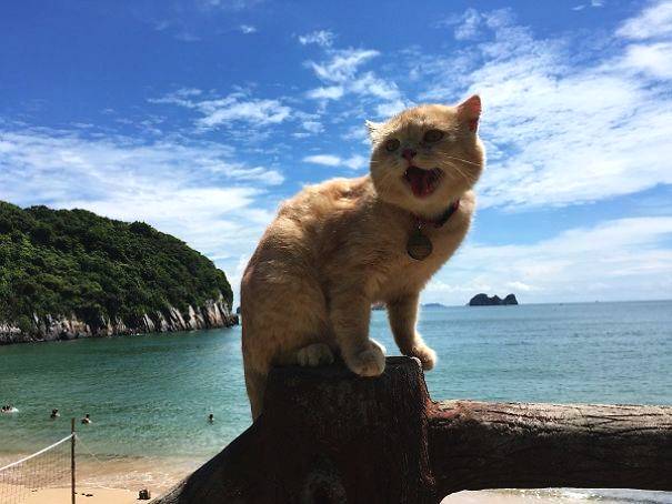 旺來蓬萊仙山寫真集