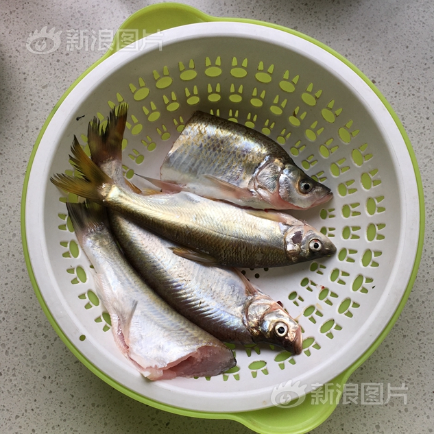 我被黑人一夜P了10次