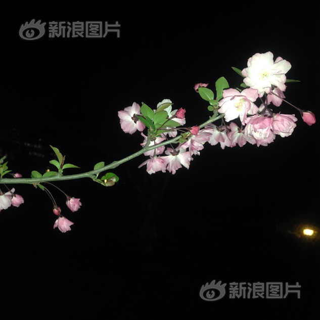 偷拍女人上侧所视频