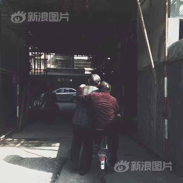 色欲岳禁在线观看