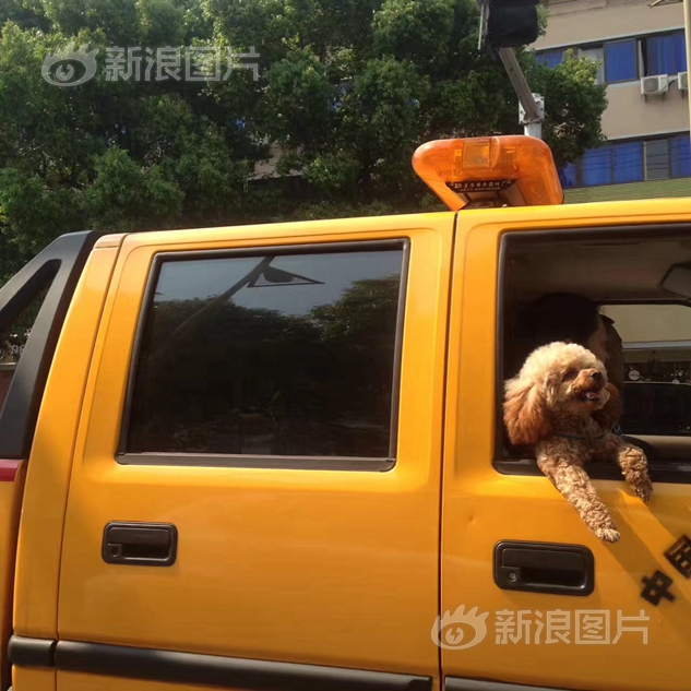 看免费黄色的视频