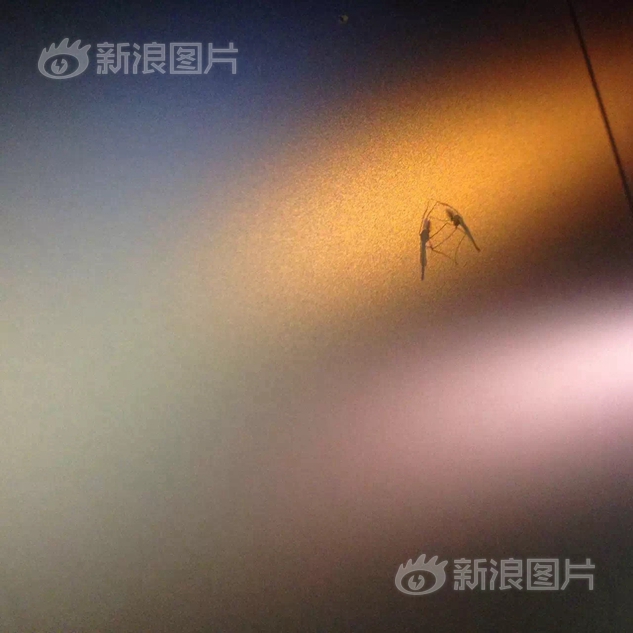 AA片免费网站
