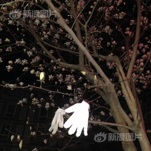 日韩伦理片在线观看中文