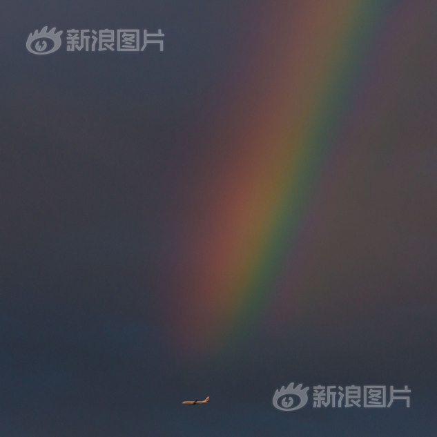 欧美人黄色一级免费大片