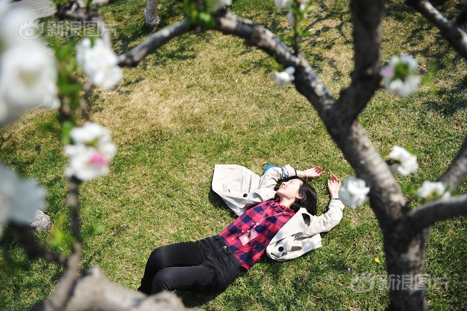 催眠研究所