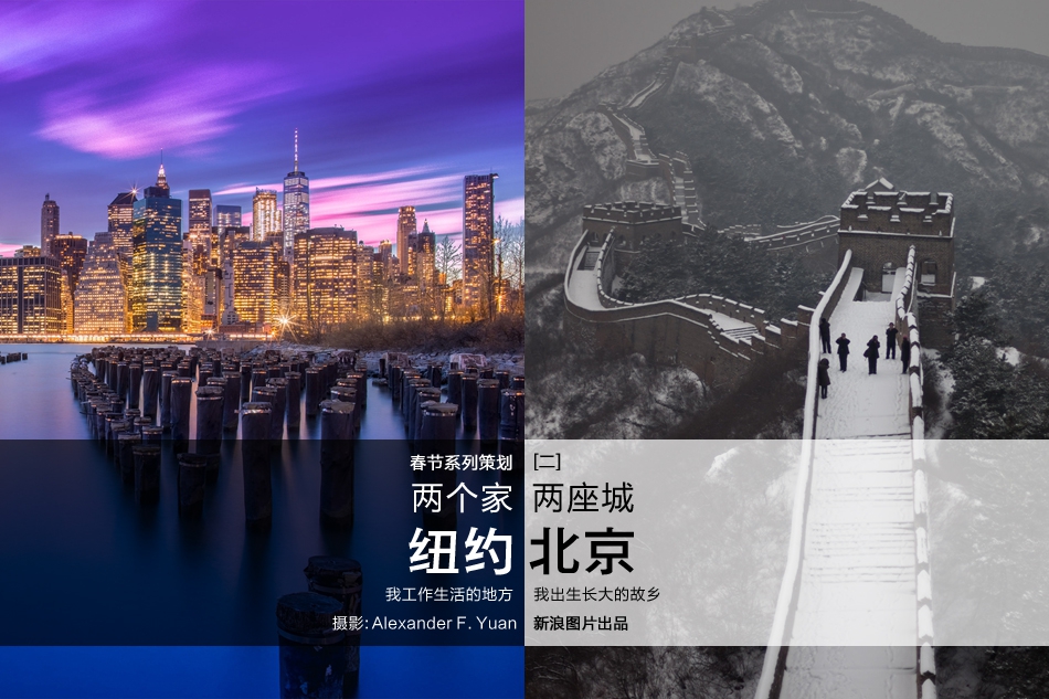卡通兔子