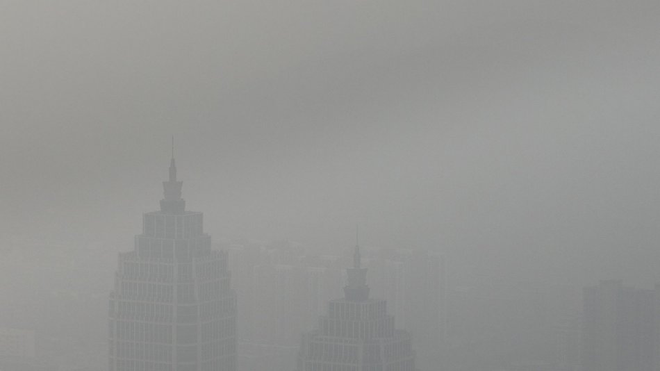 草莓丝瓜芭乐绿巨人樱桃秋葵粉色2023