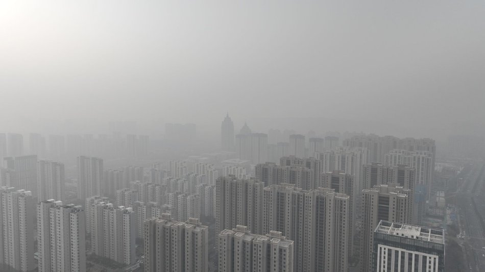 尹人综合