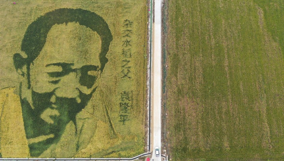 三级黄片中国